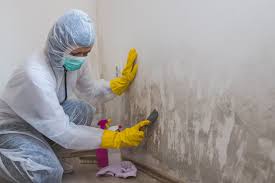 Best Biohazard Mold Removal in Yorketown, NJ